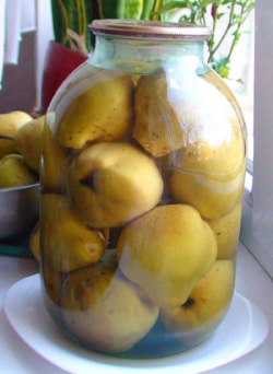 Солоні груші з кизилом і листям герані – оригінальне консервування груш на зиму по-болгарському рецепту.