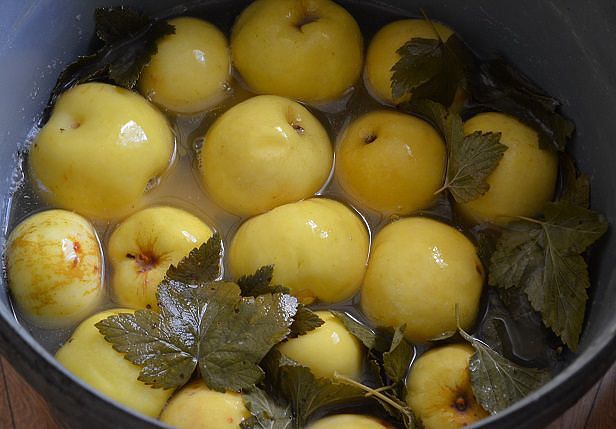 Мочені яблука в домашніх умовах – перевірений рецепт як приготувати мочені яблука на зиму.