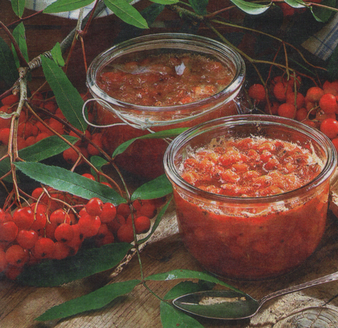 Червоноплідна горобина з медом – простий і корисний рецепт як зробити медову заготовку з горобини.
