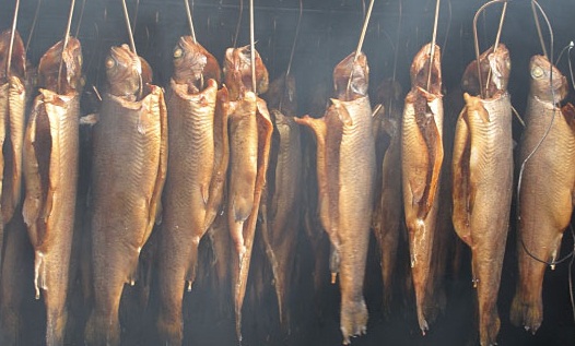 Риба холодного копчення: рецепт і способи як коптити рибу в домашніх умовах.
