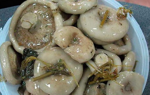 Холодне засолювання грибів на зиму – домашній рецепт як солити гриби холодним способом.