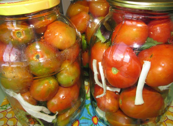 Смачні консервовані помідори з листям винограду, вишні і хріном