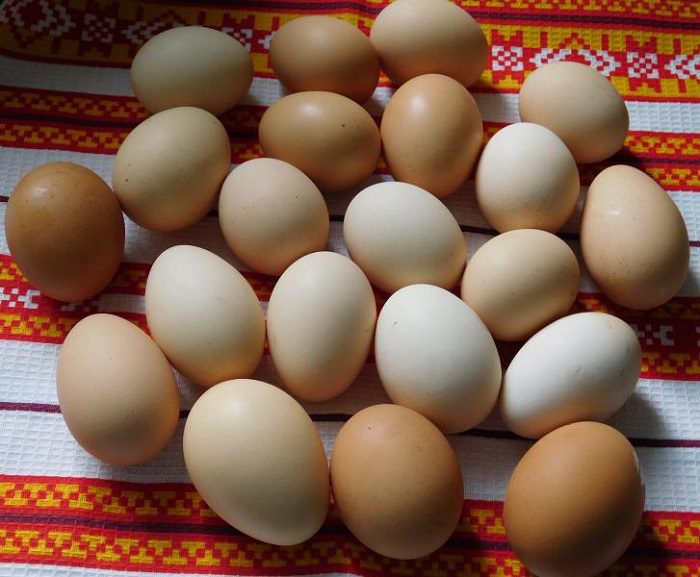 Як пофарбувати яйця у лушпинні цибулі