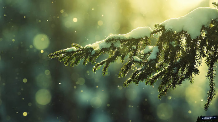 Зимова природа - картинки і широкоформатні фото-шпалери зимової природи - кращі новорічні заставки на комп'ютер