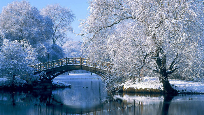 Зимова природа - картинки і широкоформатні фото-шпалери зимової природи - кращі новорічні заставки на комп'ютер