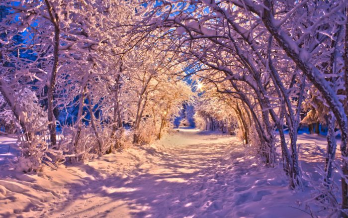 Красиві фото зимових пейзажів природи - заставки на телефон