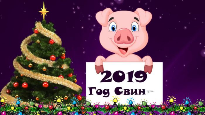 Нові вітальні листівки 2019 із свинками, поросятами та кабанчиками