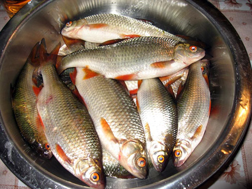 Скільки солі на 1 літр води для засолювання риби?