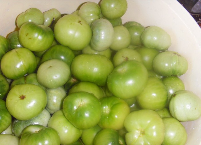 зелені помідори
