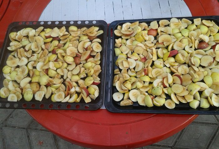 Методи сушіння яблук вдома без сушарки: як правильно сушити