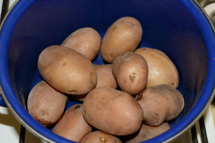 Варену картоплю в мундирі в каструлі
