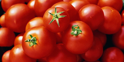 Фото. стиглі томати