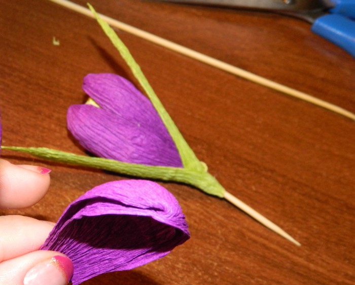 Квіти крокуси з паперу з цукерками своїми руками