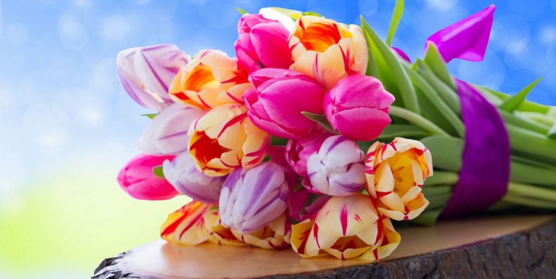 Листівки з тюльпанами на 8 березня