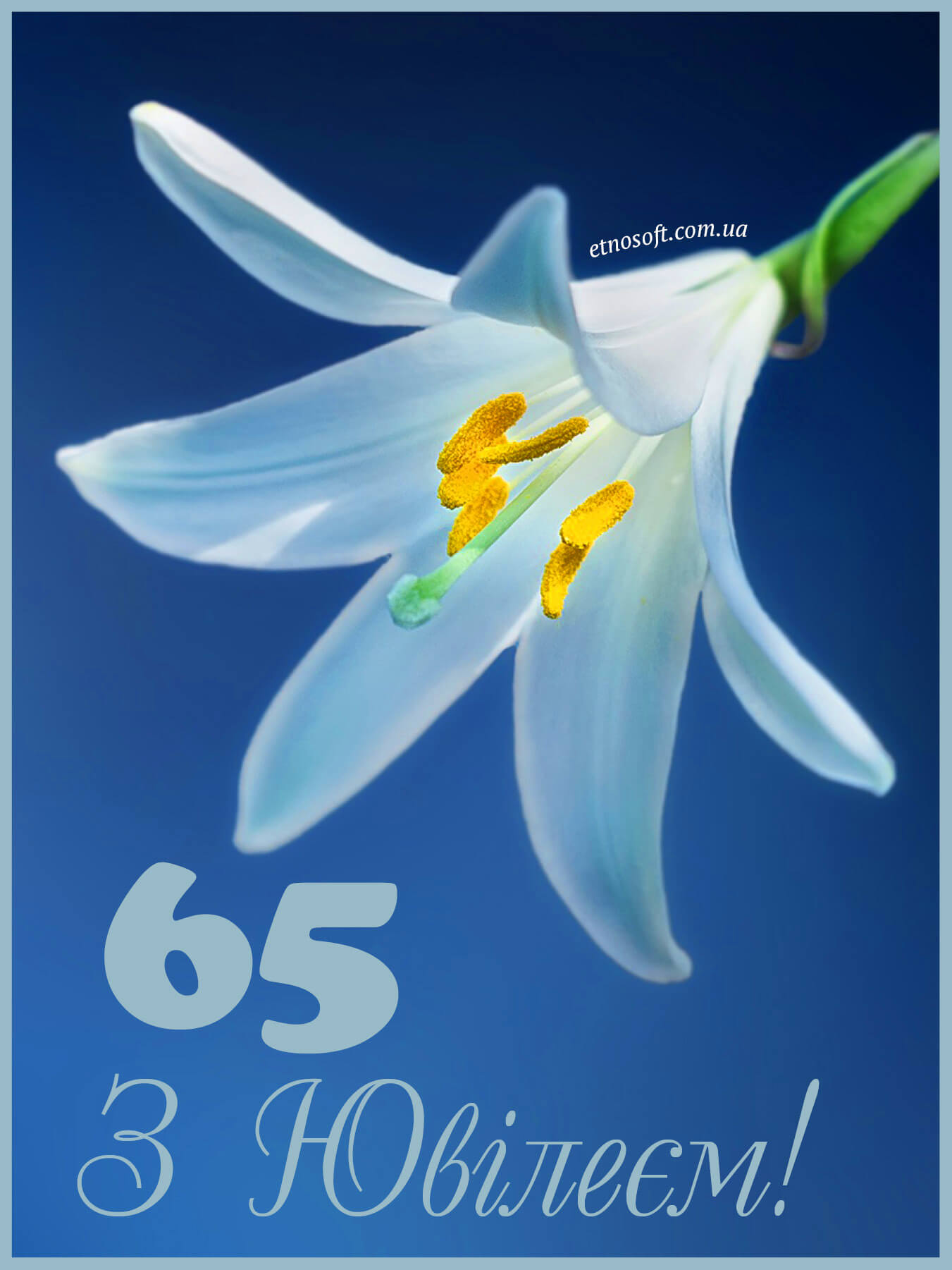 Краща вітальна листівка з Ювілеєм 65 років - гарне привітання з Днем Народження на 65 річчя
