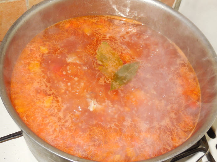 Смачний суп на бульйоні з індички з овочами