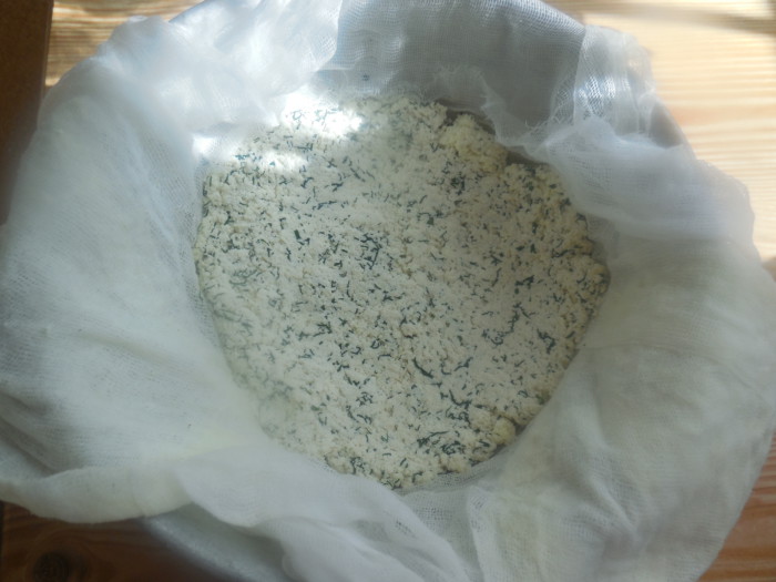 Домашній плавлений сир з сиру з кропом