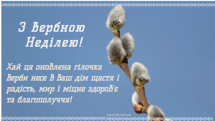 Красива листівка з Вербною Неділею - миле вітання на українські мові