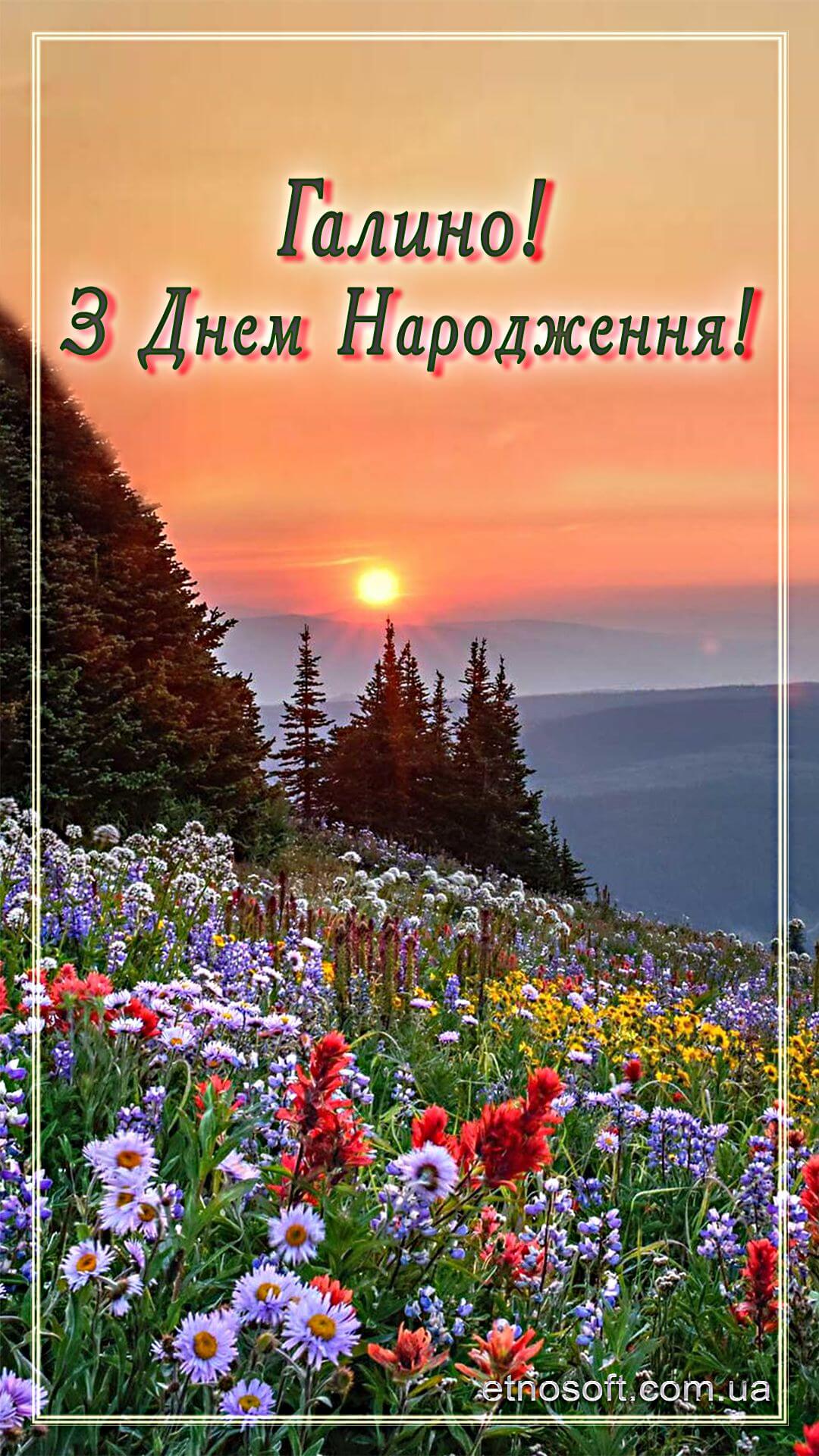 Картинки з днем народження галя на українській мові