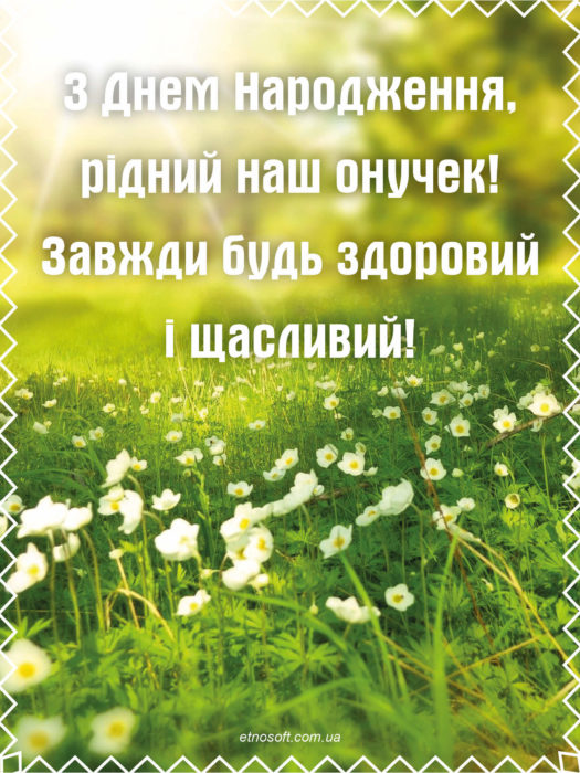 Нова листівка з Днем Народження онук від бабусі, дідуся - привітання, польові квіти